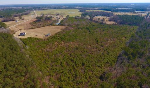 Photo #21 of SOLD property in 720 Eagles Road , Pinetops , NC 45.3 acres