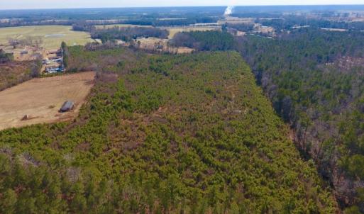 Photo #22 of SOLD property in 720 Eagles Road , Pinetops , NC 45.3 acres