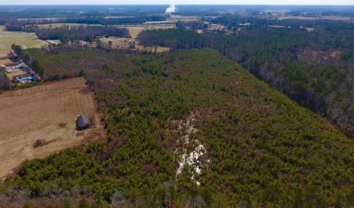 Photo #23 of SOLD property in 720 Eagles Road , Pinetops , NC 45.3 acres