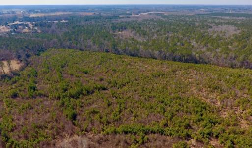 Photo #25 of SOLD property in 720 Eagles Road , Pinetops , NC 45.3 acres