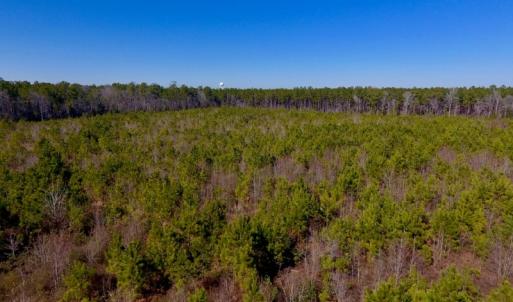 Photo #26 of SOLD property in 720 Eagles Road , Pinetops , NC 45.3 acres