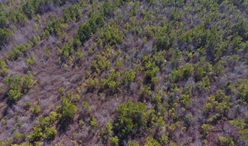 Photo #28 of SOLD property in 720 Eagles Road , Pinetops , NC 45.3 acres
