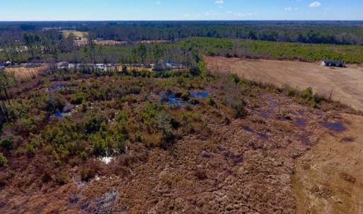 Photo #5 of SOLD property in 720 Eagles Road , Pinetops , NC 45.3 acres