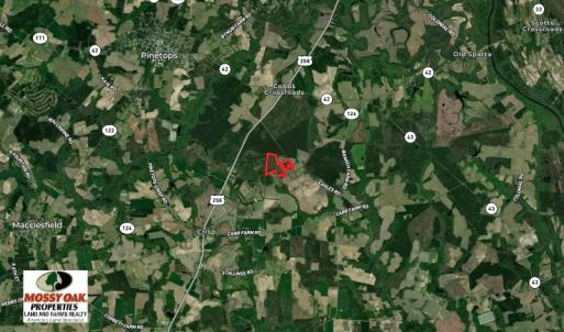 Photo #2 of SOLD property in 720 Eagles Road , Pinetops , NC 45.3 acres