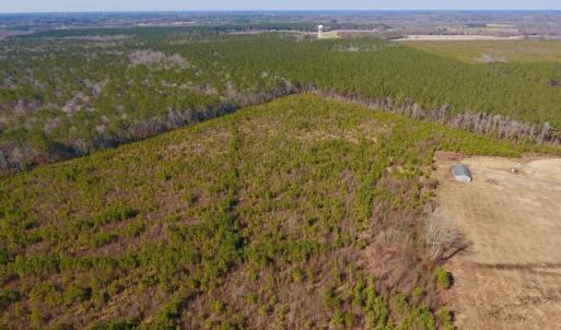 Photo #10 of SOLD property in 720 Eagles Road , Pinetops , NC 45.3 acres