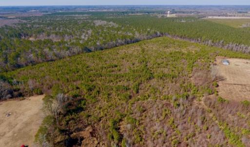 Photo #11 of SOLD property in 720 Eagles Road , Pinetops , NC 45.3 acres
