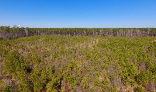 Photo #26 of SOLD property in Off Allie Mae Road , Cedar Grove , NC 11.8 acres