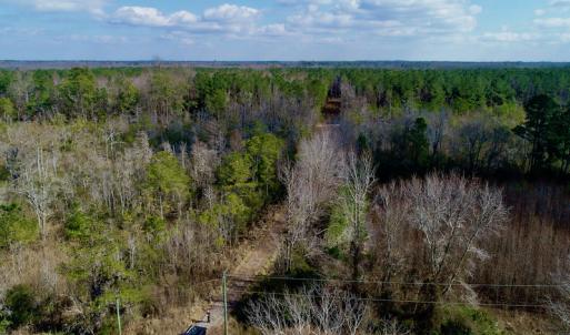 Photo #7 of  Off Taylors Beach Rd, Columbia, NC 48.5 acres