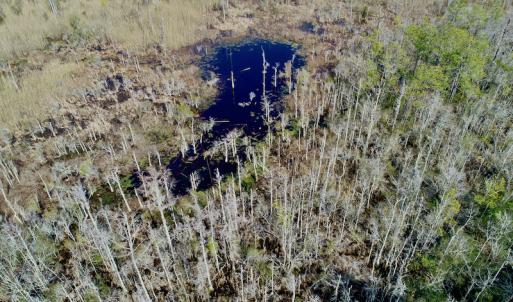 Photo #15 of  Off Taylors Beach Rd, Columbia, NC 48.5 acres