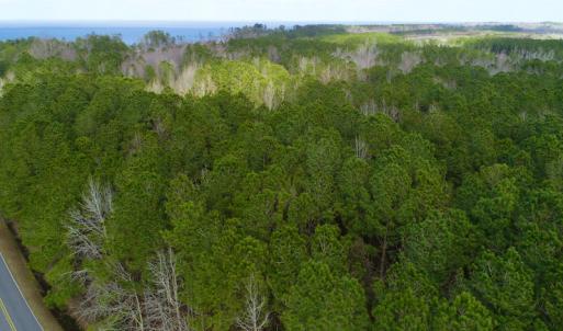 Photo #32 of  Off Taylors Beach Rd, Columbia, NC 48.5 acres