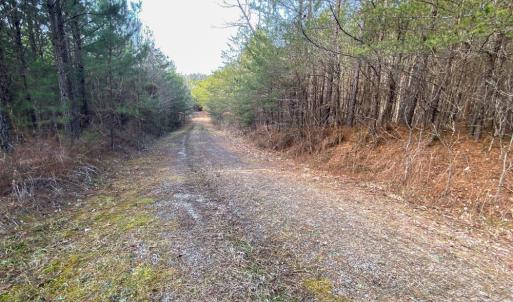 Photo #4 of SOLD property in 539 Wagonwheel Road, Reidsville, NC 52.7 acres