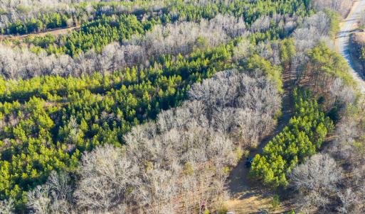 Photo #6 of SOLD property in 539 Wagonwheel Road, Reidsville, NC 52.7 acres