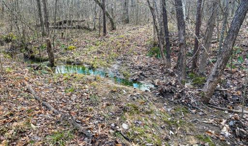 Photo #55 of SOLD property in 539 Wagonwheel Road, Reidsville, NC 52.7 acres