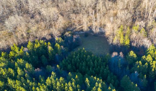 Photo #11 of SOLD property in 539 Wagonwheel Road, Reidsville, NC 52.7 acres