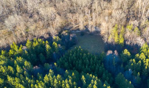 Photo #11 of SOLD property in 539 Wagonwheel Road, Reidsville, NC 52.7 acres