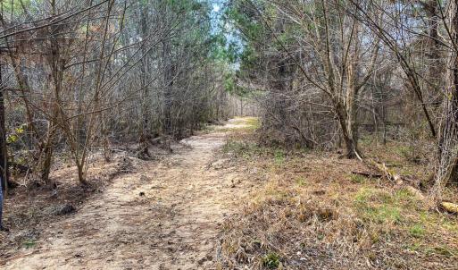 Photo #56 of SOLD property in 539 Wagonwheel Road, Reidsville, NC 52.7 acres