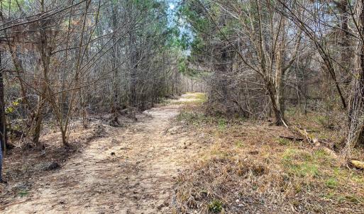 Photo #56 of SOLD property in 539 Wagonwheel Road, Reidsville, NC 52.7 acres