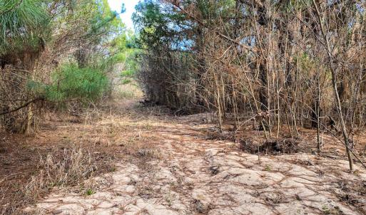 Photo #57 of SOLD property in 539 Wagonwheel Road, Reidsville, NC 52.7 acres