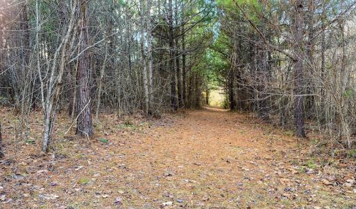 Photo #61 of SOLD property in 539 Wagonwheel Road, Reidsville, NC 52.7 acres