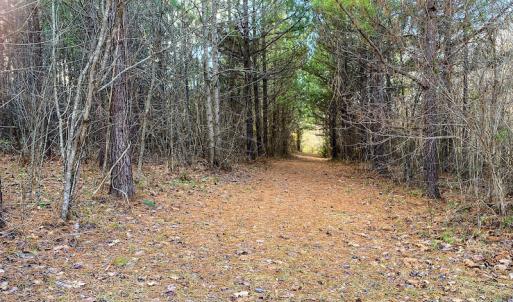 Photo #61 of SOLD property in 539 Wagonwheel Road, Reidsville, NC 52.7 acres