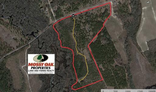 Photo #1 of SOLD property in Off McKays Bridge Road, Hamer, SC 64.0 acres