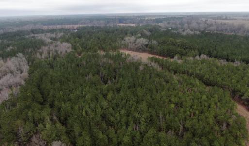 Photo #3 of SOLD property in Off McKays Bridge Road, Hamer, SC 64.0 acres