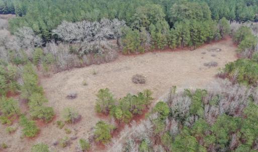 Photo #4 of SOLD property in Off McKays Bridge Road, Hamer, SC 64.0 acres
