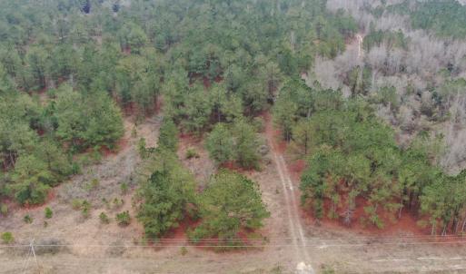 Photo #5 of SOLD property in Off McKays Bridge Road, Hamer, SC 64.0 acres
