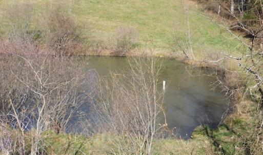 Photo #11 of SOLD property in 677 Country Rd, Austinville, VA 4.9 acres