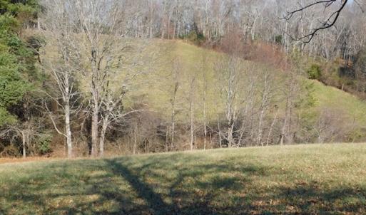 Photo #8 of SOLD property in 677 Country Rd, Austinville, VA 4.9 acres