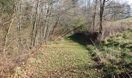 Photo #9 of SOLD property in 677 Country Rd, Austinville, VA 4.9 acres