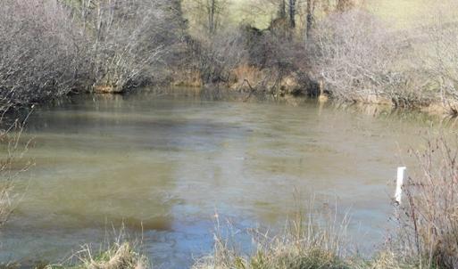 Photo #10 of SOLD property in 677 Country Rd, Austinville, VA 4.9 acres
