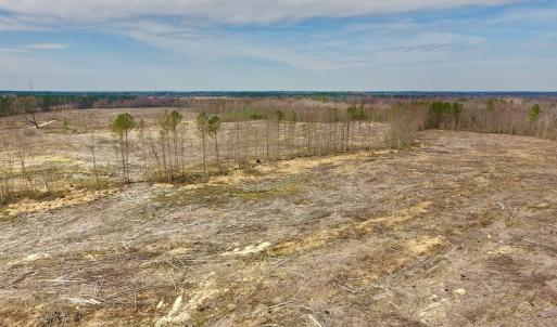 Photo #2 of SOLD property in Off Gardner School Road , Stantonsburg, NC 84.7 acres
