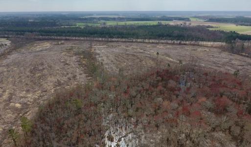 Photo #11 of SOLD property in Off Gardner School Road , Stantonsburg, NC 84.7 acres