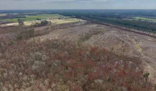 Photo #12 of SOLD property in Off Gardner School Road , Stantonsburg, NC 84.7 acres