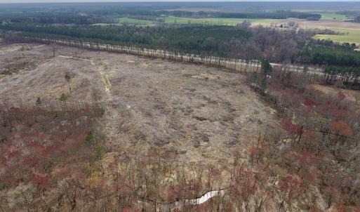 Photo #13 of SOLD property in Off Gardner School Road , Stantonsburg, NC 84.7 acres