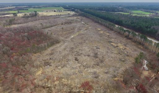 Photo #15 of SOLD property in Off Gardner School Road , Stantonsburg, NC 84.7 acres