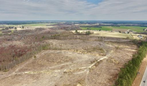 Photo #18 of SOLD property in Off Gardner School Road , Stantonsburg, NC 84.7 acres