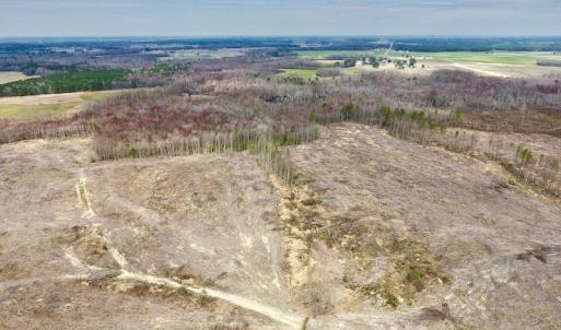 Photo #21 of SOLD property in Off Gardner School Road , Stantonsburg, NC 84.7 acres
