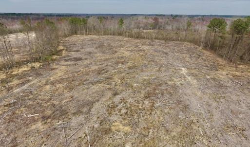 Photo #24 of SOLD property in Off Gardner School Road , Stantonsburg, NC 84.7 acres