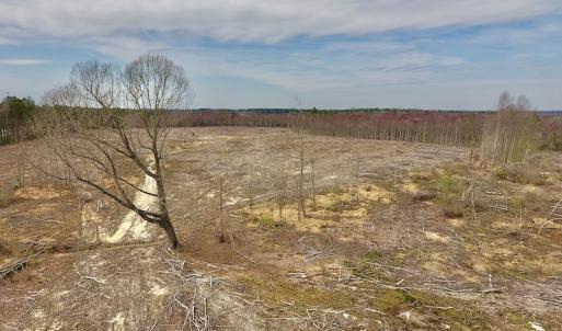 Photo #25 of SOLD property in Off Gardner School Road , Stantonsburg, NC 84.7 acres