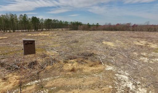 Photo #26 of SOLD property in Off Gardner School Road , Stantonsburg, NC 84.7 acres