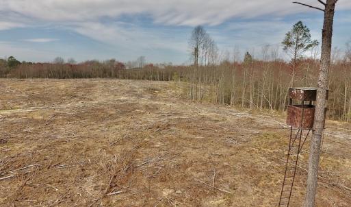 Photo #27 of SOLD property in Off Gardner School Road , Stantonsburg, NC 84.7 acres