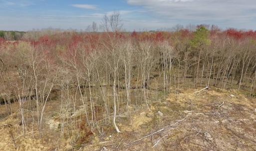 Photo #28 of SOLD property in Off Gardner School Road , Stantonsburg, NC 84.7 acres