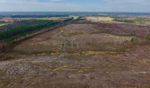 Photo #5 of SOLD property in Off Gardner School Road , Stantonsburg, NC 84.7 acres