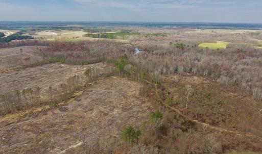Photo #6 of SOLD property in Off Gardner School Road , Stantonsburg, NC 84.7 acres