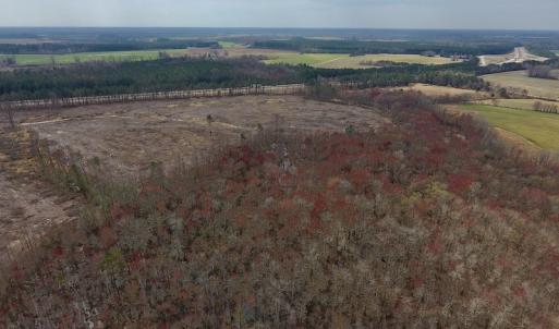 Photo #10 of SOLD property in Off Gardner School Road , Stantonsburg, NC 84.7 acres