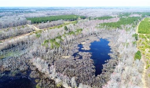 Photo #3 of SOLD property in 1480 Occoneechee Neck Road, Jackson, NC 268.0 acres