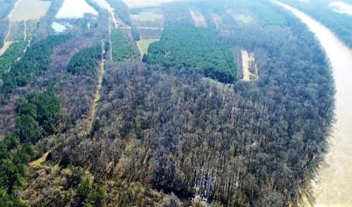 Photo #5 of SOLD property in 1480 Occoneechee Neck Road, Jackson, NC 268.0 acres