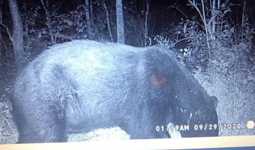 Photo #6 of SOLD property in 1480 Occoneechee Neck Road, Jackson, NC 268.0 acres